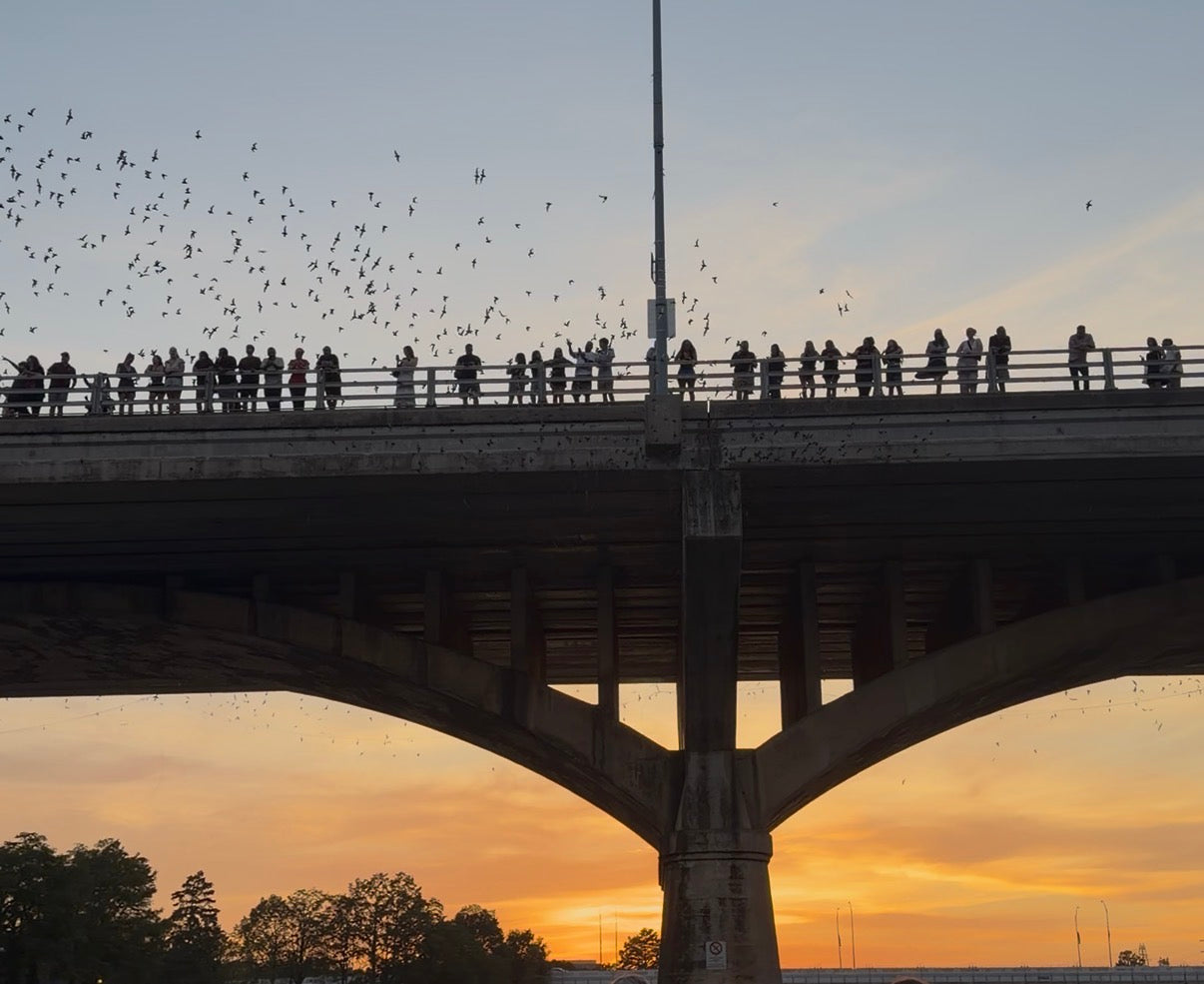 The Driskill Austin Sunset & Bat Kayak Experience