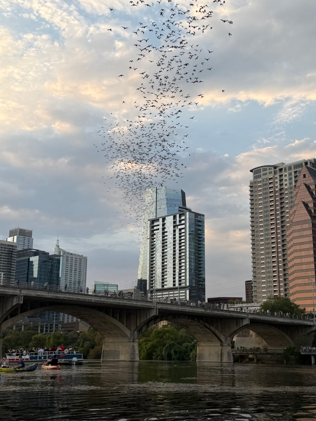 Pre-Sale Austin Bird Watching Paddle Board Experience