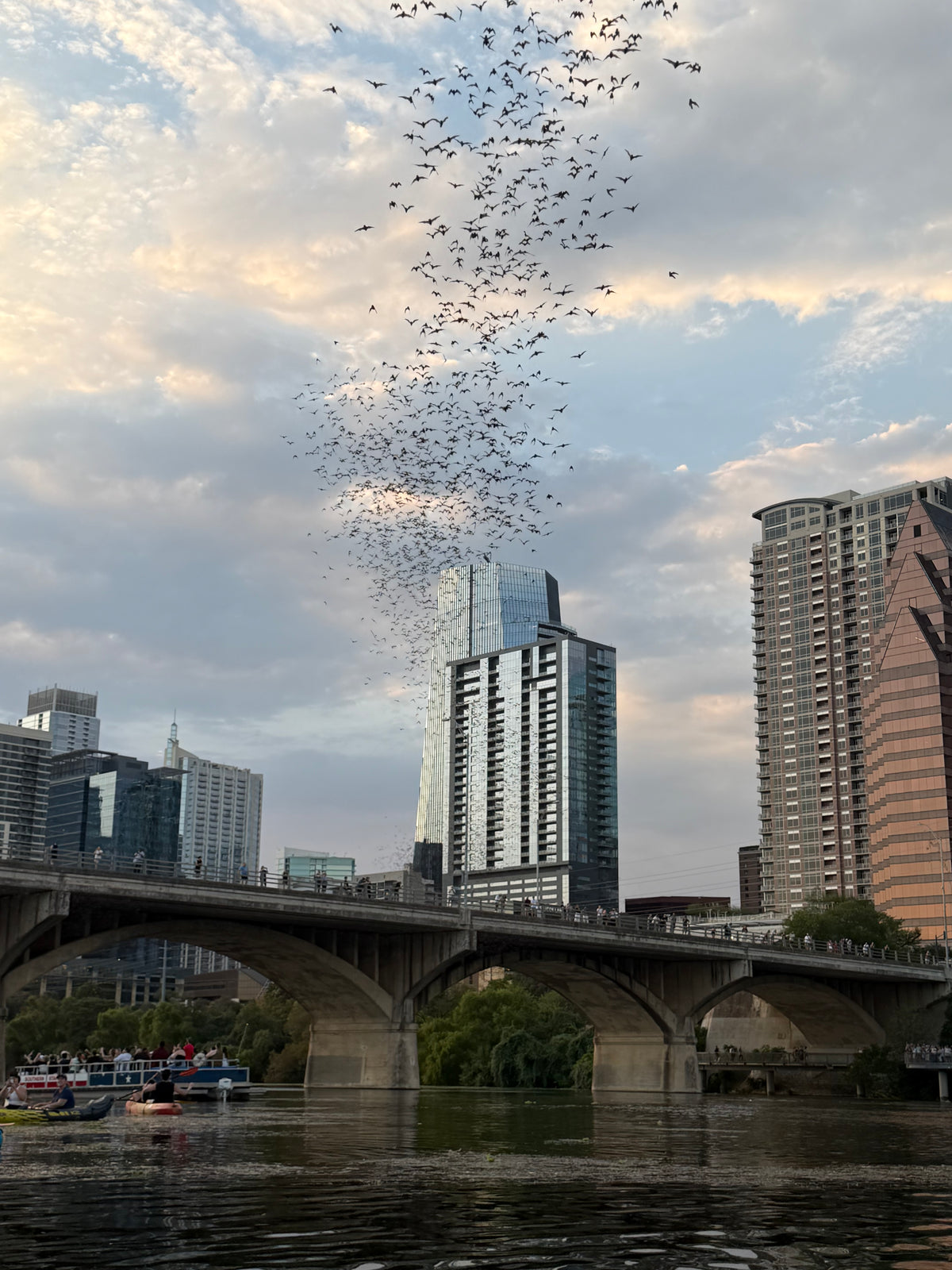 Pre-Sale Austin Bird Watching Paddle Board Experience